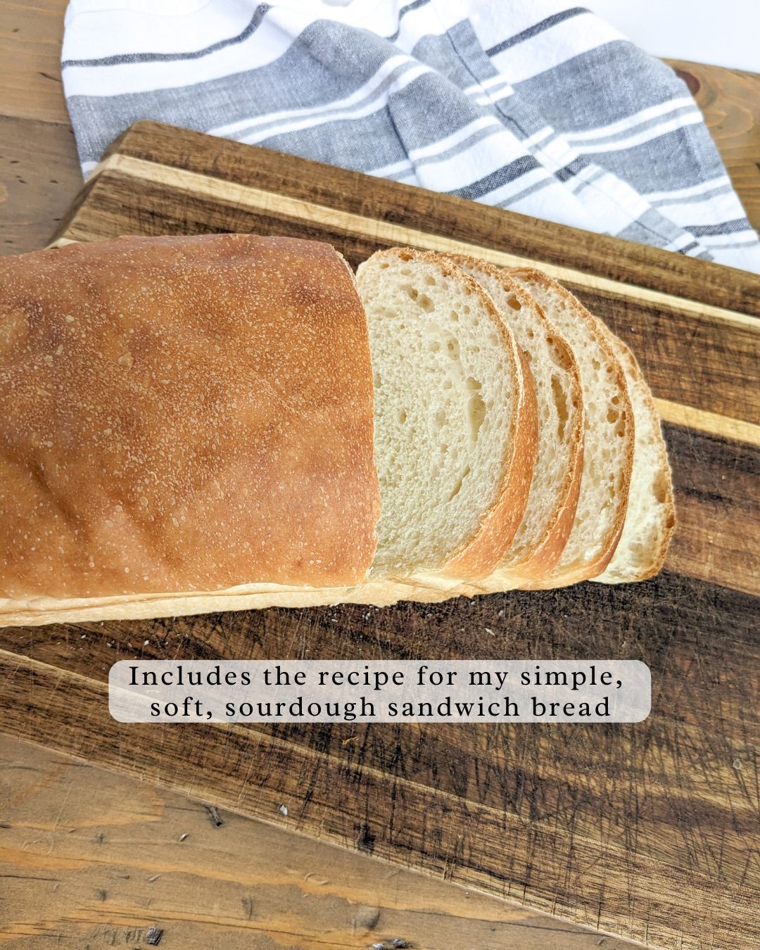 Organic Sourdough Starter (Dried)