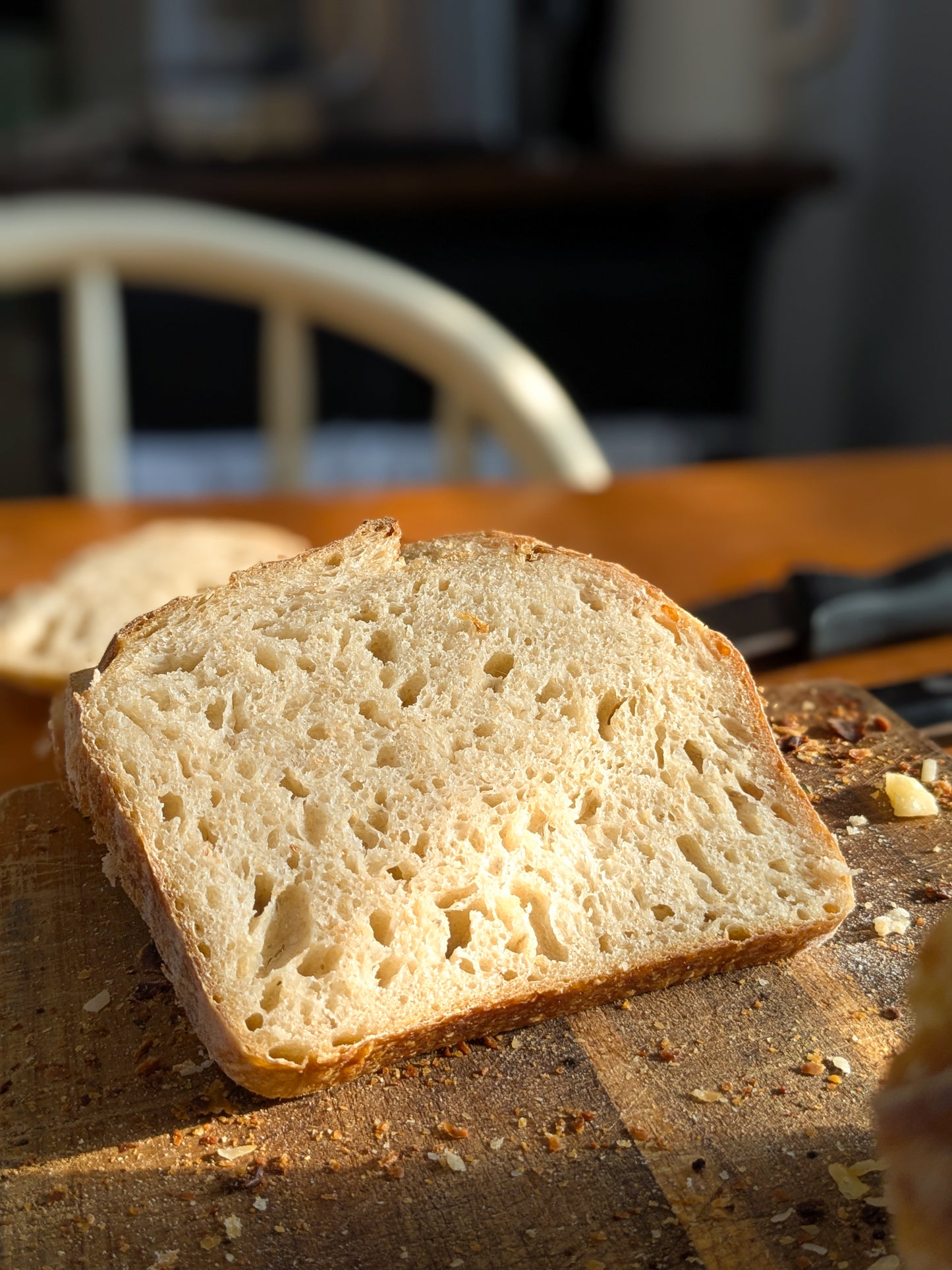 Organic Sourdough Starter (Dried)